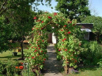 DSCN5192-Kopie_4
